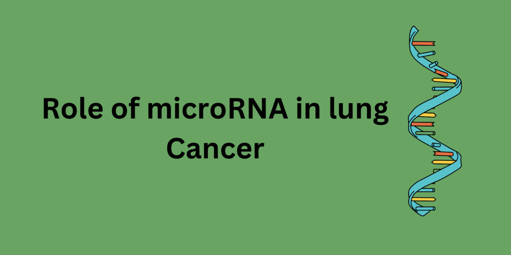 Role of microRNA in Lung Cancer