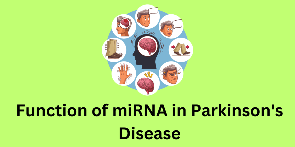 Function of miRNA in Parkinson Disease