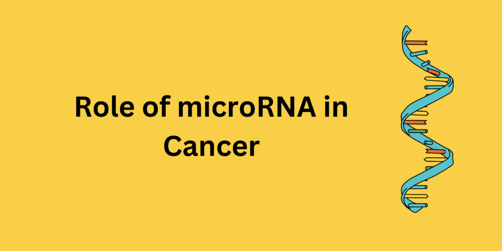 Role of microRNA in Cancer