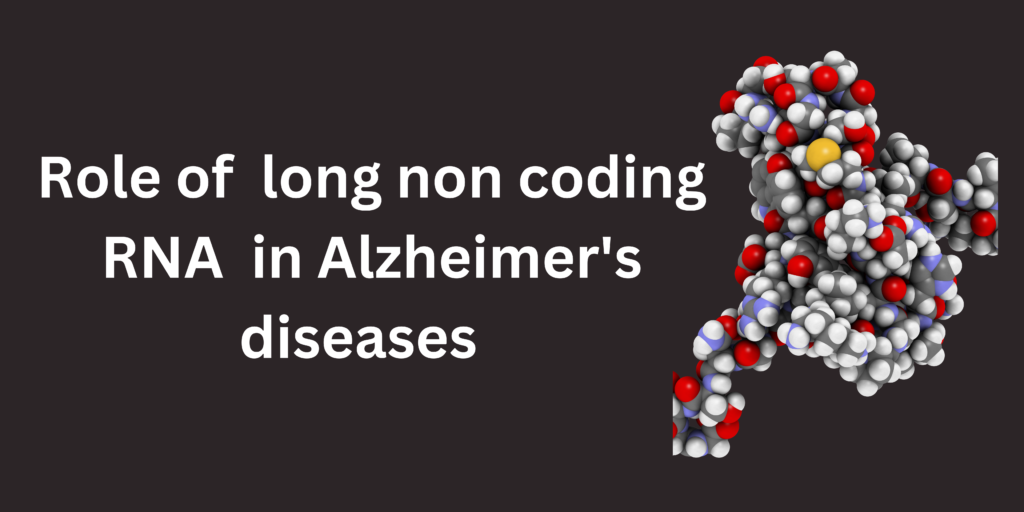 Role of long non coding RNA in Alzheimer’s diseases